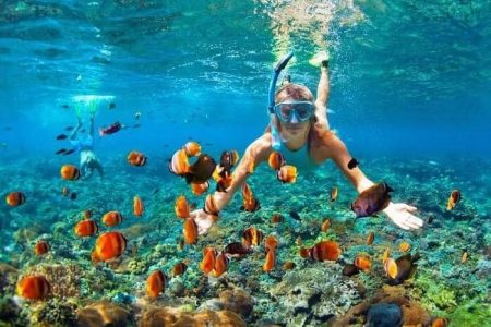 HIkkaduwa snorkeling Corel