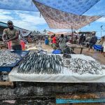 Negombo Fish Market In Sri Lanka