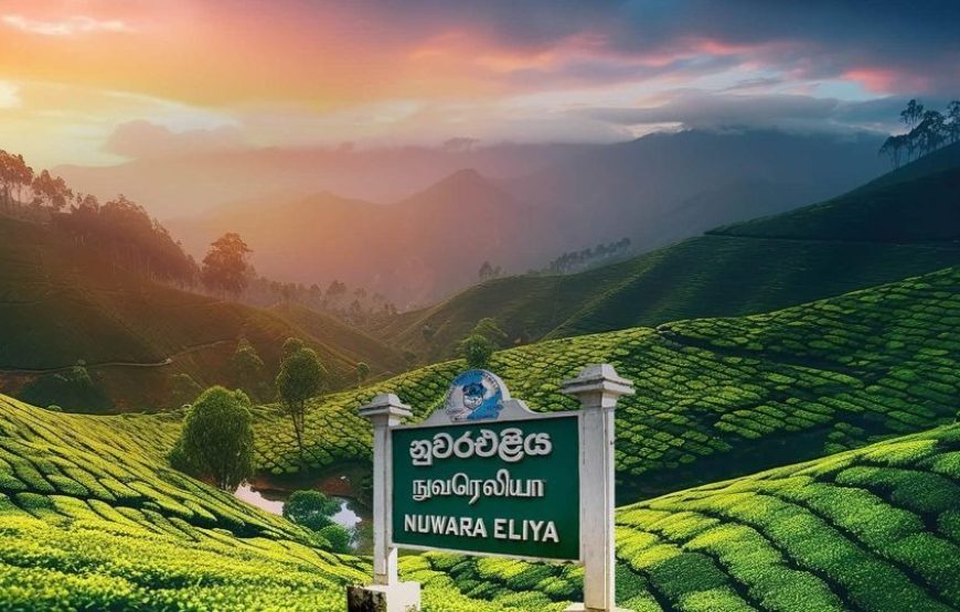 Sri Lanka 4-Day Tour Plan