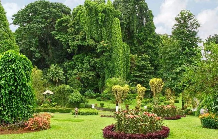Sri Lanka 4-Day Tour Plan