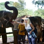 Pinnawala Elephant Orphanage