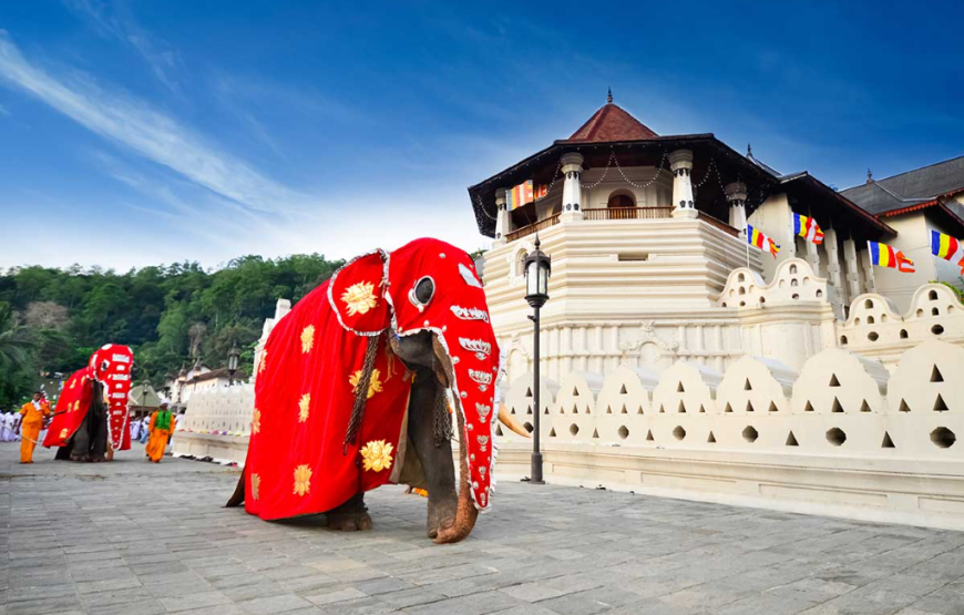 Sri Lanka 4-Day Tour Plan