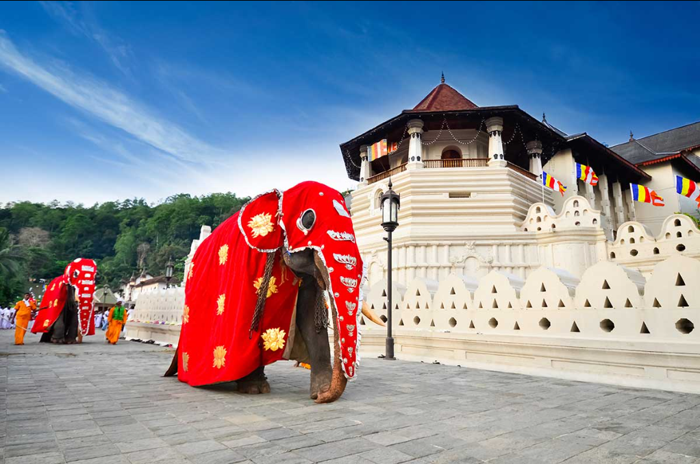 Sri Lanka Travel Pass