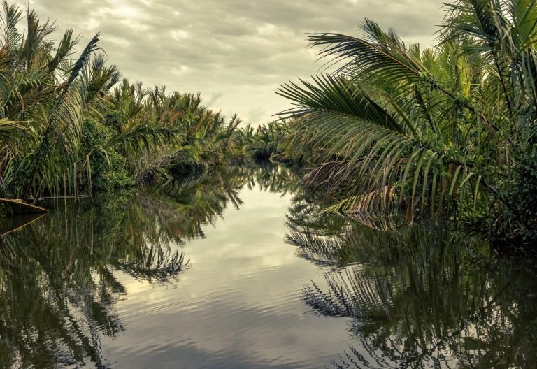 Tangalle Lagoon